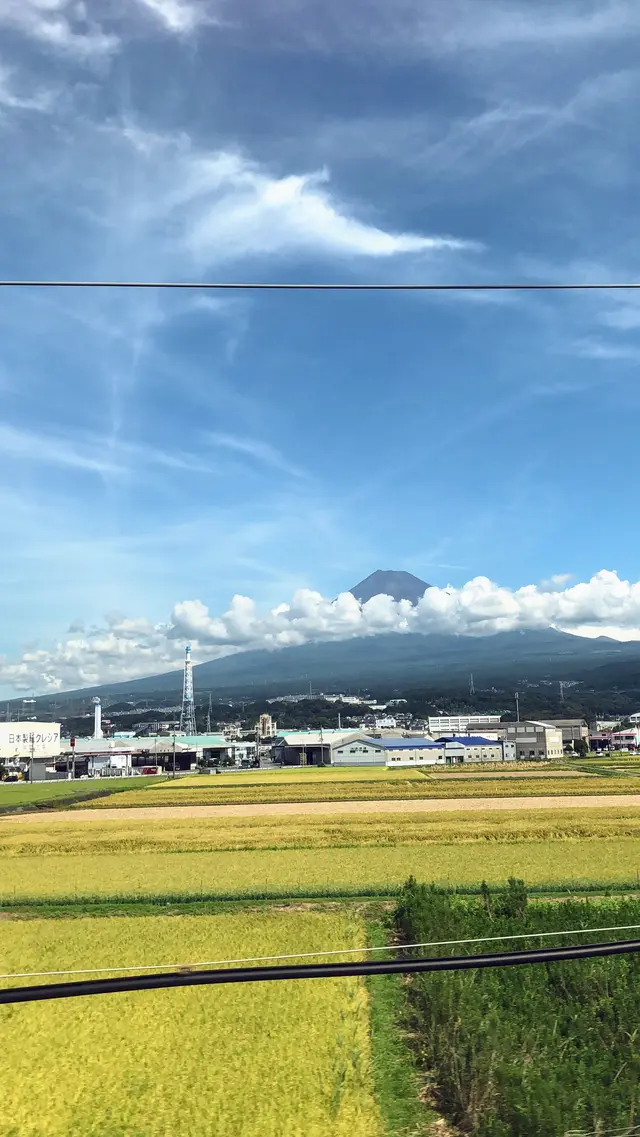 酔ごころ