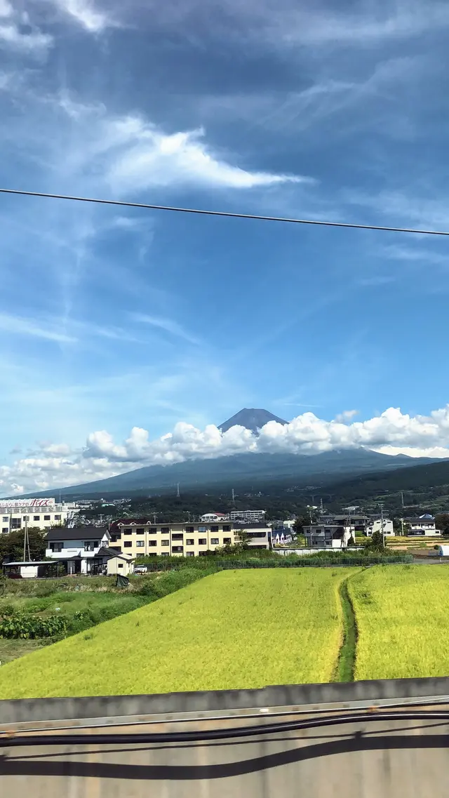 酔ごころ