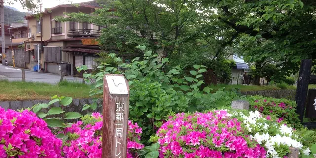 京都を歩く！（トレイルと銀閣寺周辺）