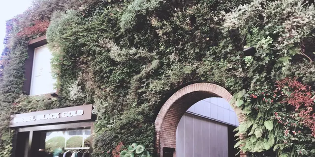 表参道でお洒落なデート😌