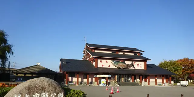 【新潟県村上市】村上人が愛して止まない鮭と酒