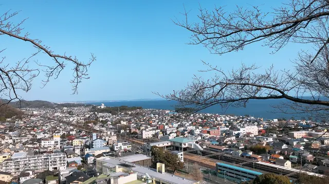 吾妻山公園