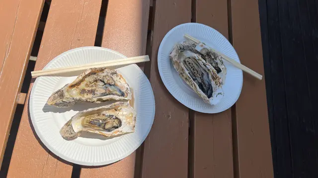あおみな