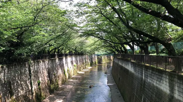 東板橋体育館