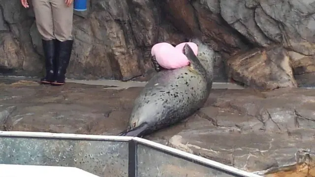 しながわ水族館