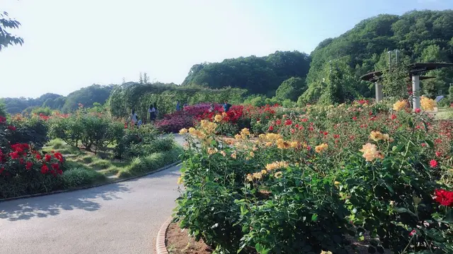 花フェスタ記念公園