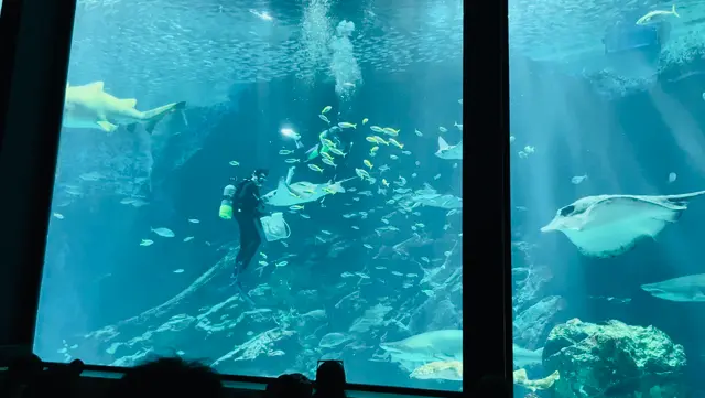 マリンワールド海の中道