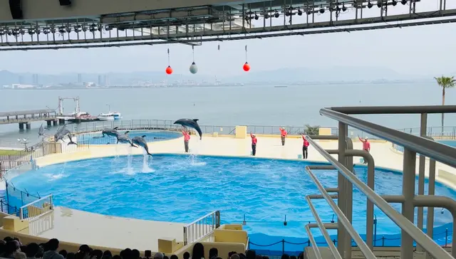 マリンワールド海の中道