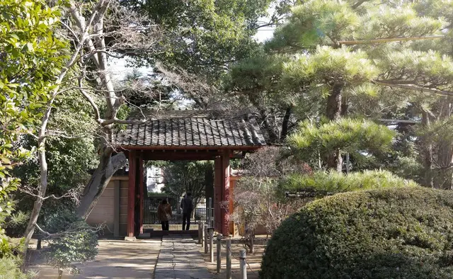 中院
