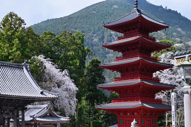 身延山 久遠寺