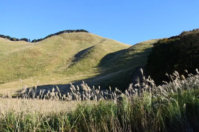 曽爾高原