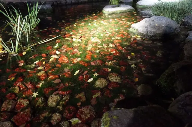 栗林公園