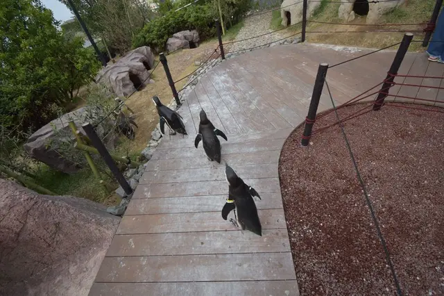 上越市立水族博物館 うみがたり（旧：上越市立水族博物館）