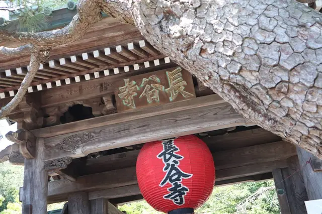 長谷寺