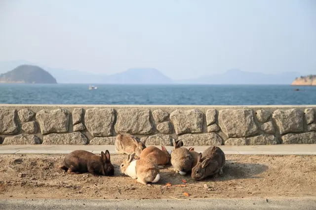 大久野島