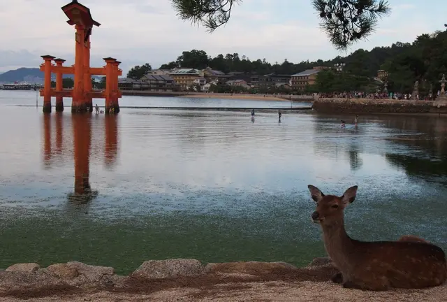 広島、気ままに満喫ひとり旅♡