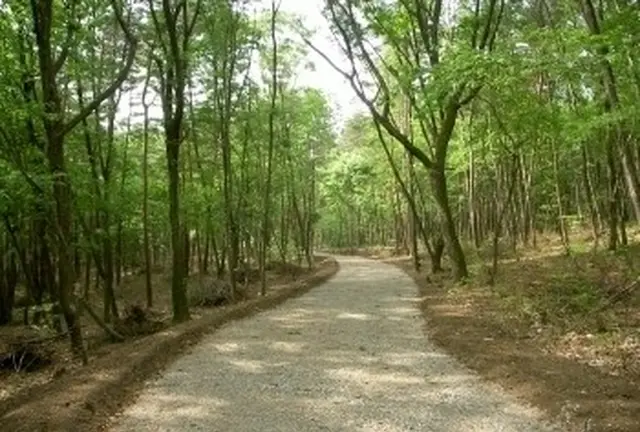 これといったものはないけれど、心が洗われる旅、安曇野