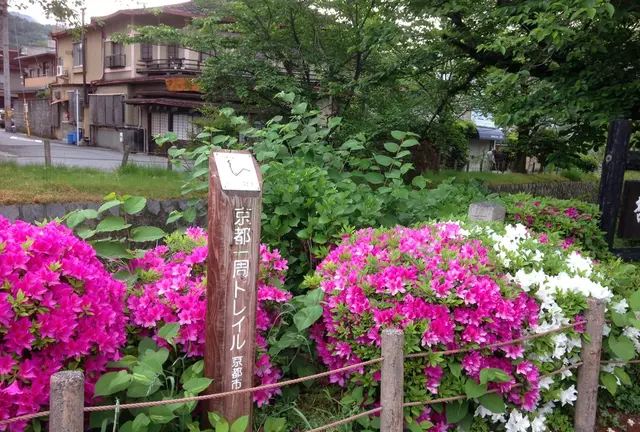 京都を歩く！（トレイルと銀閣寺周辺）