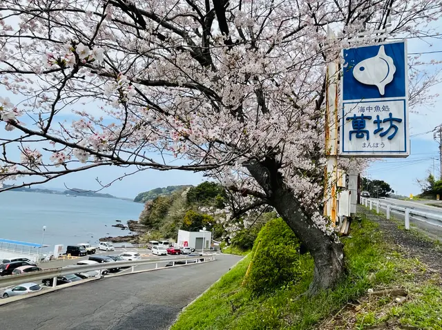 呼子萬坊