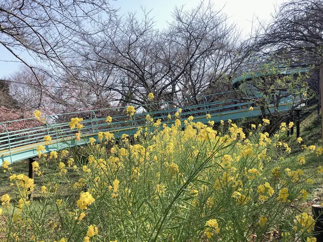 吾妻山公園