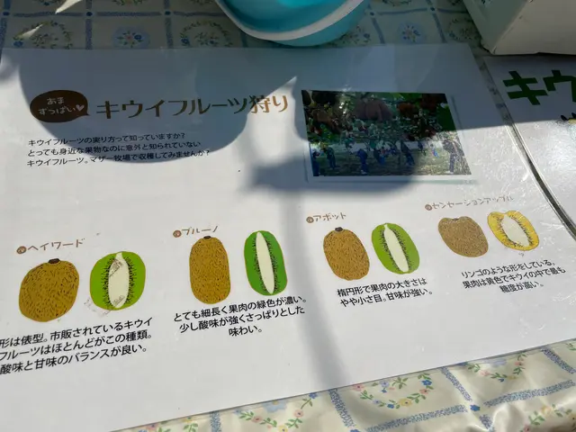 マザー牧場
