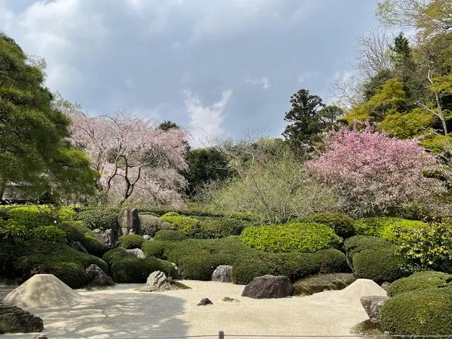 明月院（あじさい寺）