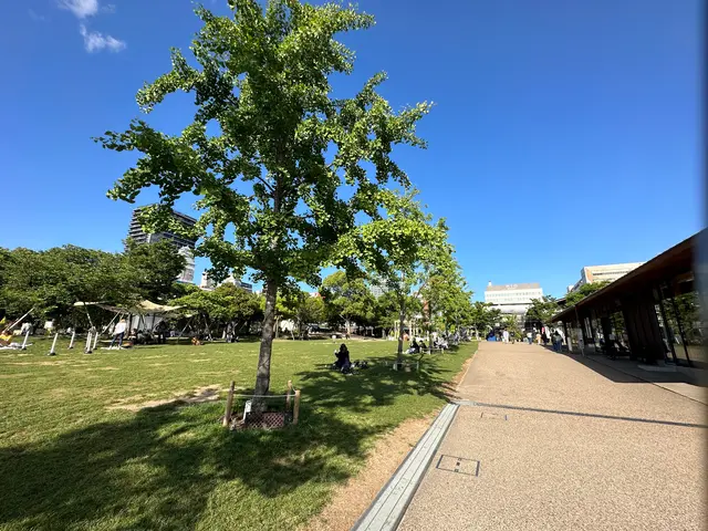 てんしば