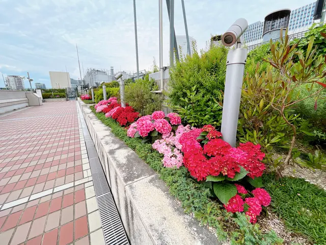 天空の農園（大阪ステーションシティ内）