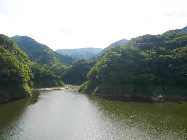 森林の駅　もみじ谷大吊橋