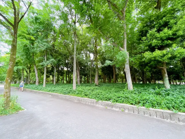 市民の森（大阪城公園内）