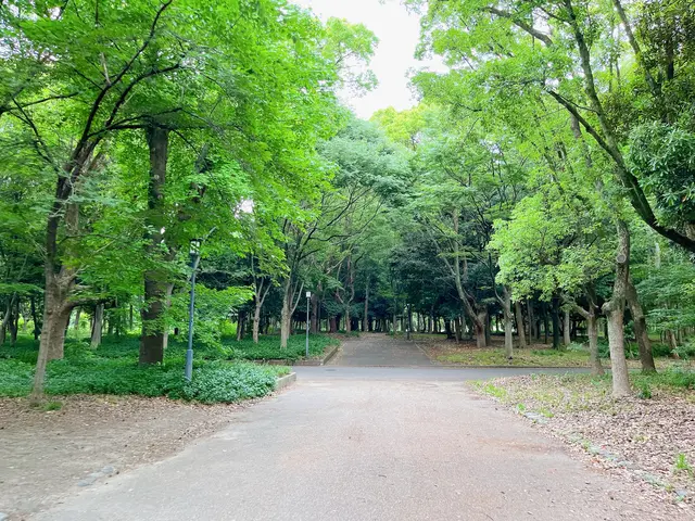 市民の森（大阪城公園内）