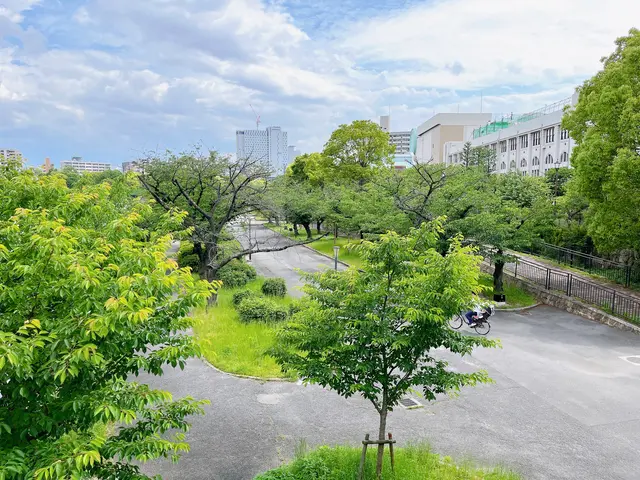 毛馬桜之宮公園