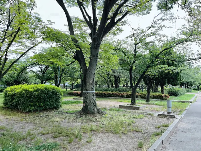 毛馬桜之宮公園