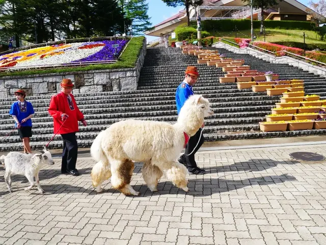 那須高原 りんどう湖ファミリー牧場