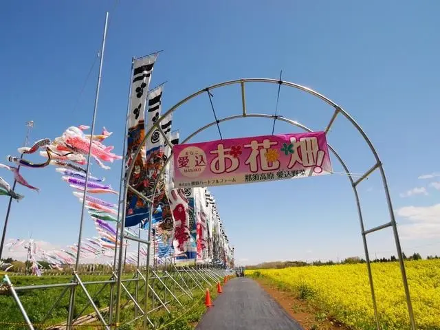 那須ハートフルファーム 菜の花畑 ひまわり畑 愛込