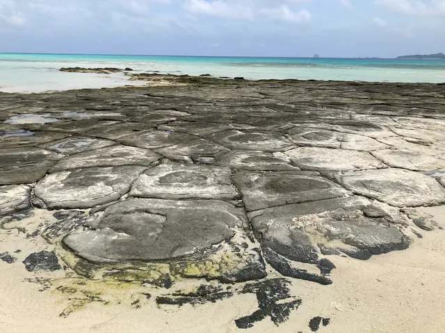 奥武島の畳石