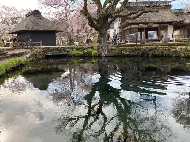 忍野八海