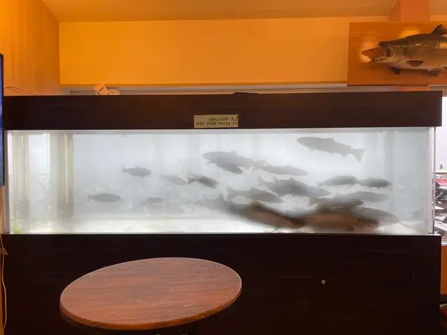 ポロピナイ食堂