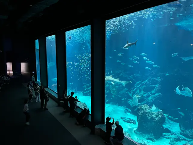 マリンワールド海の中道