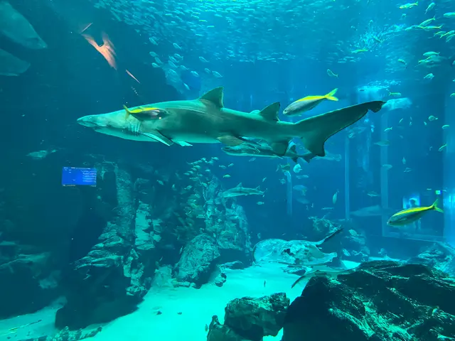 マリンワールド海の中道