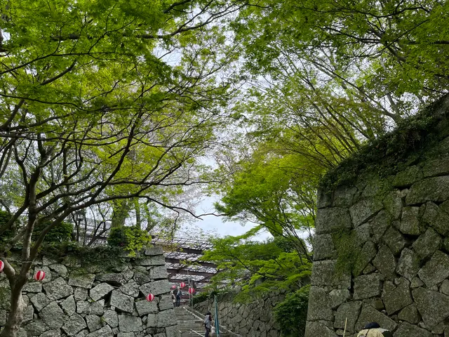 唐津城