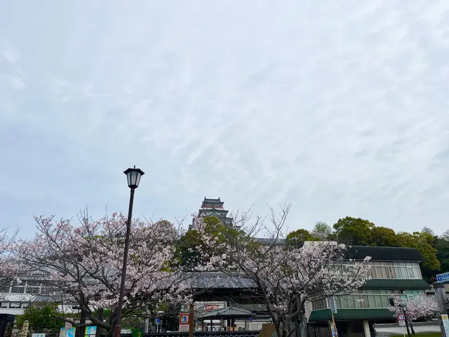 唐津城