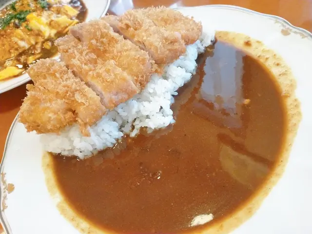 とんかつ キュリードシゲール