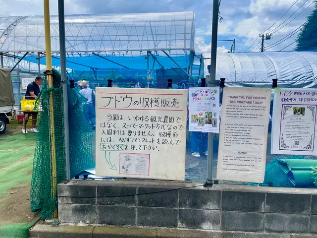 飯田ぶどう園