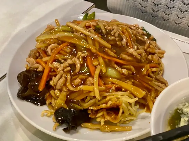 銀座ヤンヤン (中華料理) 手打ち麺専門店