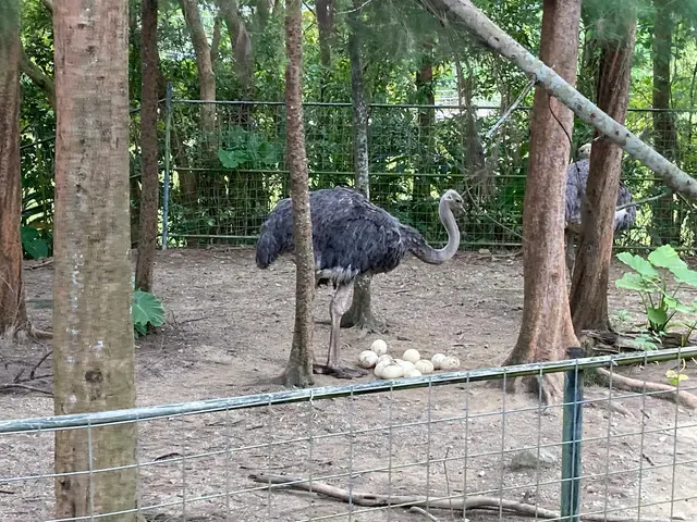ネオパークオキナワ