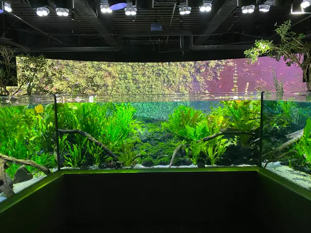 カワスイ川崎水族館