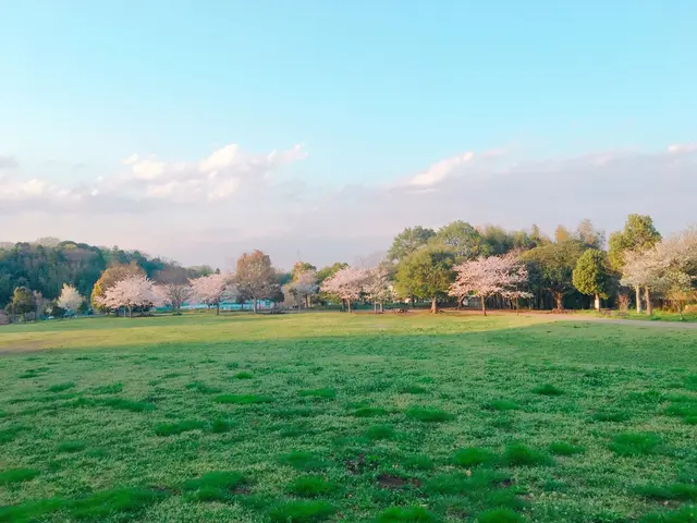 神奈川県立茅ヶ崎里山公園