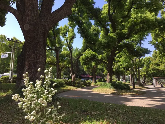 Le Pain Quotidien (ル・パン・コティディアン) 芝公園店