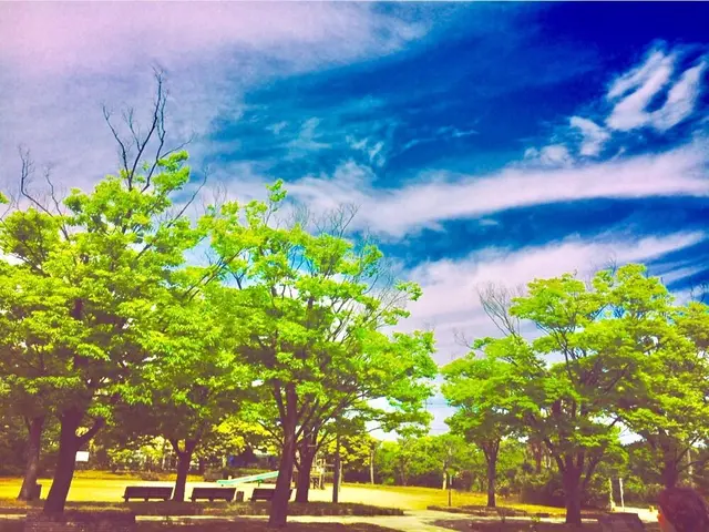 柴山潟湖畔公園